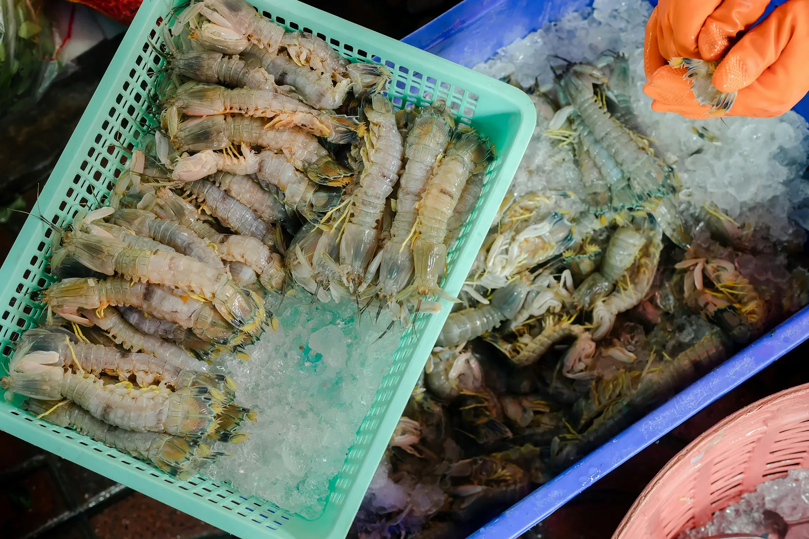 Insider Tips from Locals for Ordering Fresh Seafood in Phuket in Phuket - phuket seafood restaurants